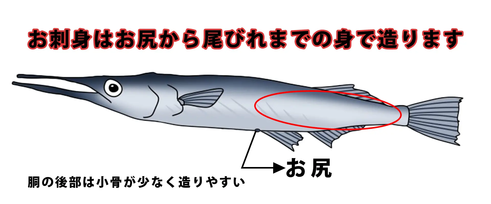 ダツの刺し身はまずいの？おすすめレシピ