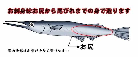 ダツの刺し身はまずいの？おすすめレシピ