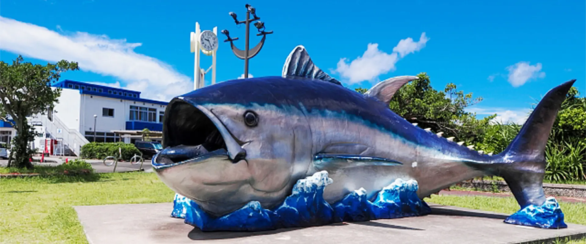 そもそもクロマグロってどんな魚？