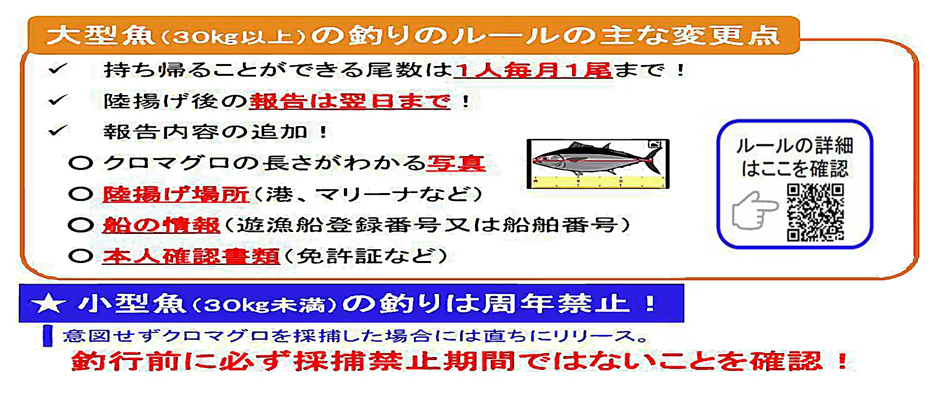 報告の義務と罰金