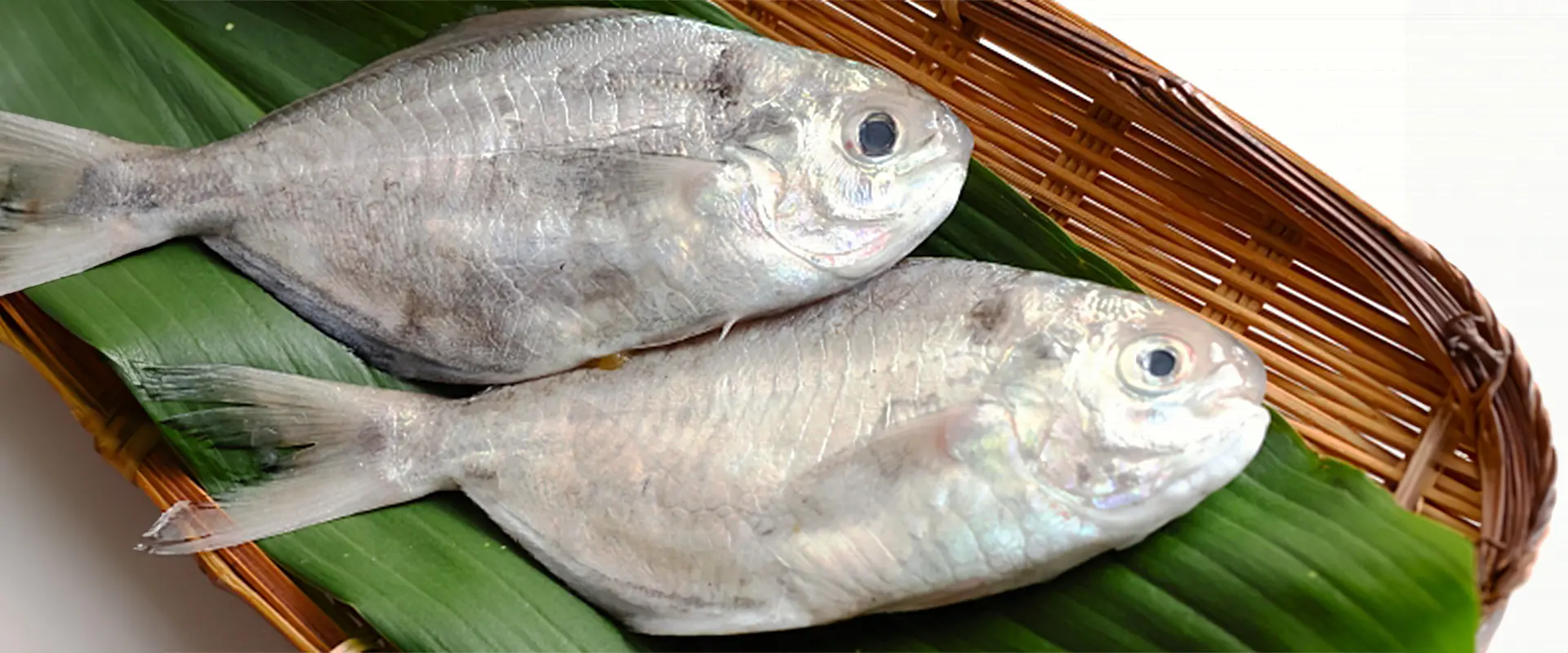 どんな味？美味しい？