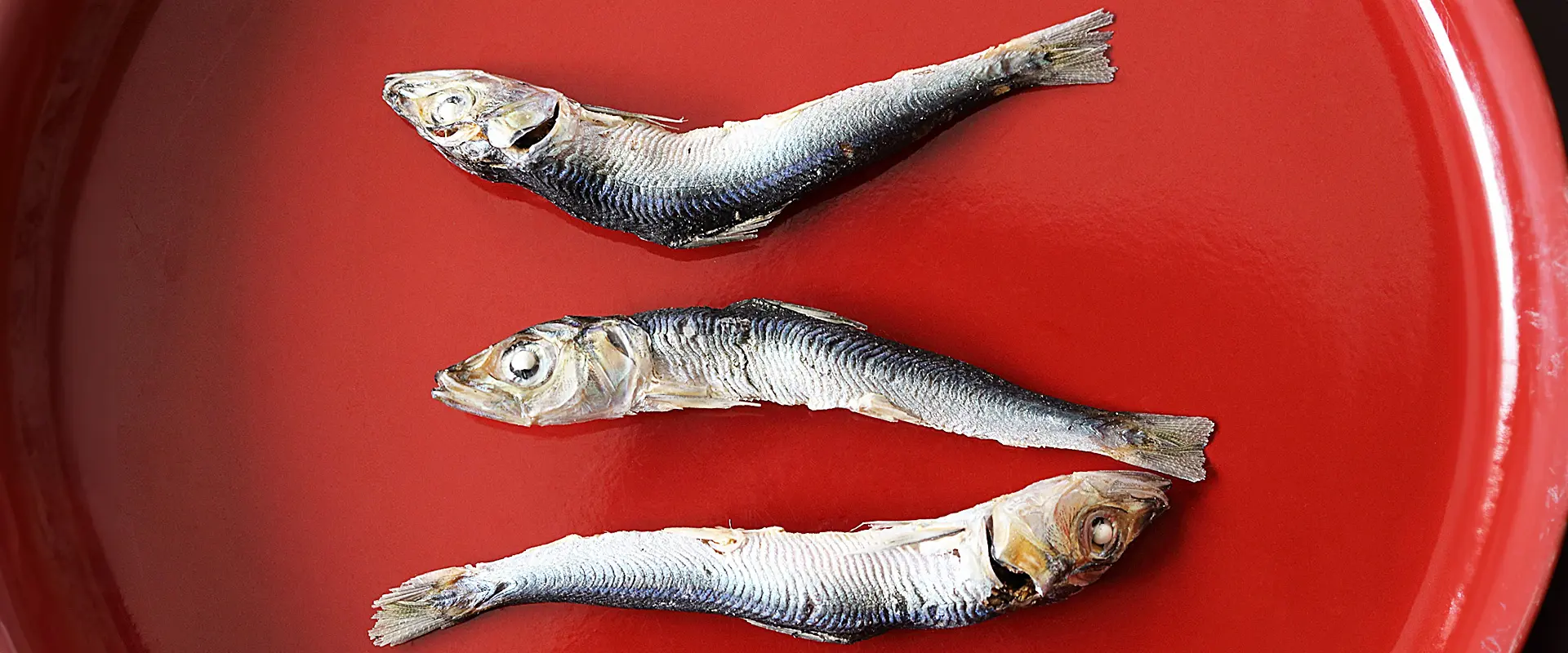 煮干しって何の魚？食べ過ぎは下痢と痛風のリスク！気持ち悪い