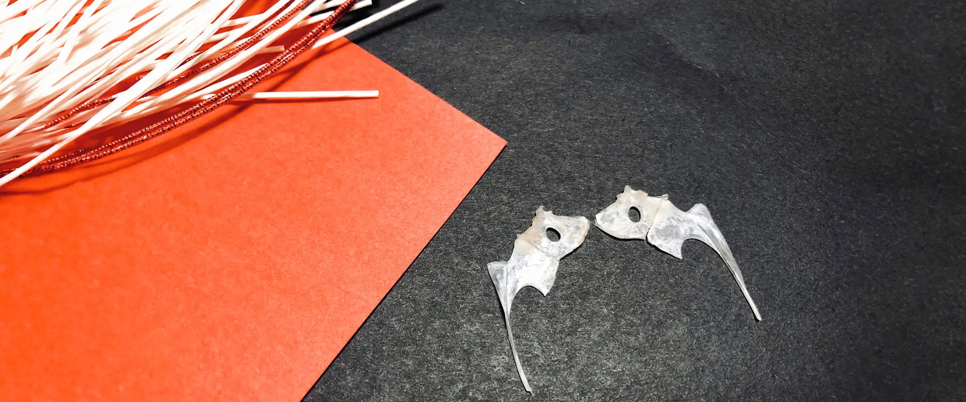 鯛のタイ（鯛）骨の場所はどこ？縁起物の取り方は？保存方法