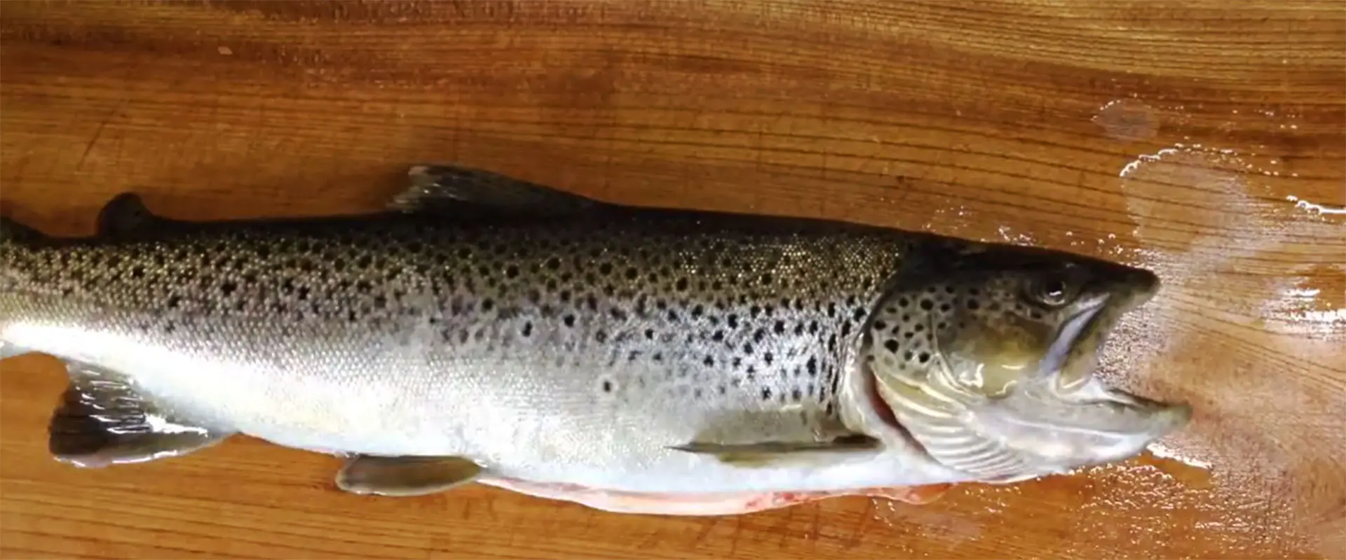 食べると「まずい」とは言い切れない